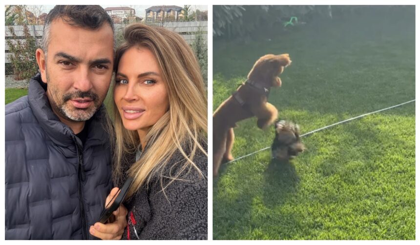 cum arata gradina casei andreei banica artista le a aratat fanilor imagini din curtea frumos amenajata 69e4bab6aeb08