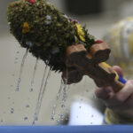 cum se consuma corect agheasma mica in vinerea luminata de izvorul tamaduirii explicatiile preotilor 69e1c0332f089