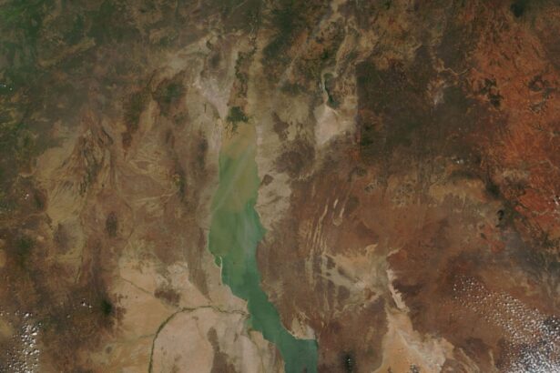 de ce atat de multe fosile ale stramosilor nostri au fost gasite in africa de est 69ee54cb8e3bb