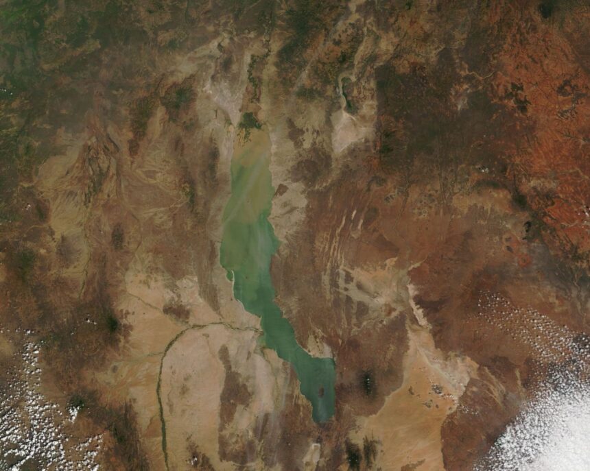 de ce atat de multe fosile ale stramosilor nostri au fost gasite in africa de est 69ee54cb8e3bb