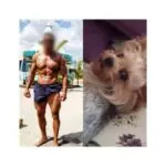 de la salvare miraculoasa dupa ce a fost lovit de tren la ucidere din razbunare caporal constantean condamnat la curtea militara 69e4a9a9efd72