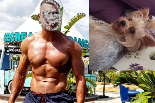 de la salvare miraculoasa dupa ce a fost lovit de tren la ucidere din razbunare militar constantean condamnat la curtea militara 69e4a7520047c