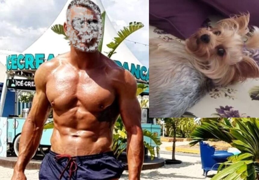 de la salvare miraculoasa dupa ce a fost lovit de tren la ucidere din razbunare militar constantean condamnat la curtea militara 69e4a7520047c