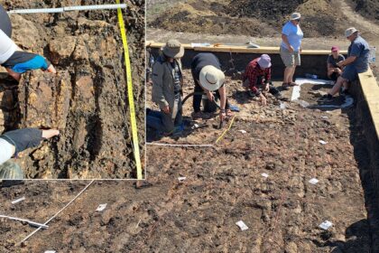 descoperire impresionanta la un sit al culturii cucuteni ce au gasit arheologii 69e206ca32abb