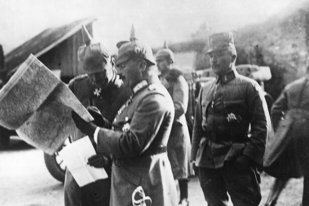 divergente strategice la berlin privind romania ultimatum forta sau diplomatie 69ee5bd3bd1ab