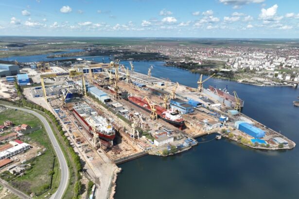 document lista rusinii vedetele cu datorii istorice la bugetul local al mangaliei 69e7e051dfaf7