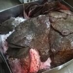 doi braconieri au fost depistati la debarcaderul de pe lacul costinesti cu peste 30 de kg de calcan 69e1f43b35ace