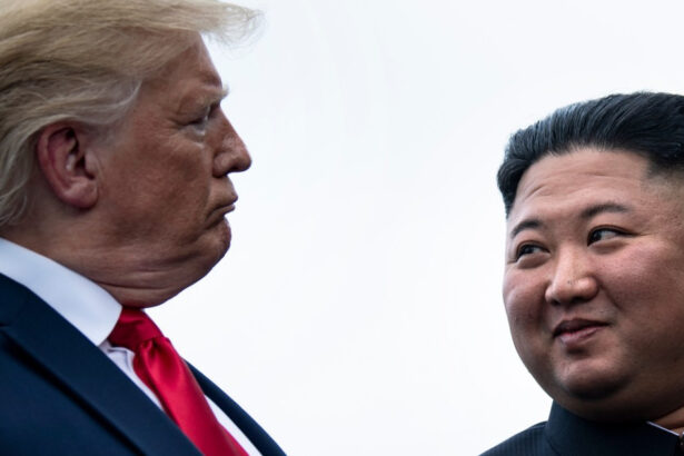 donald trump si kim jong un s ar putea intalni la toamna potrivit unui fost oficial american 69d63374a4ff1