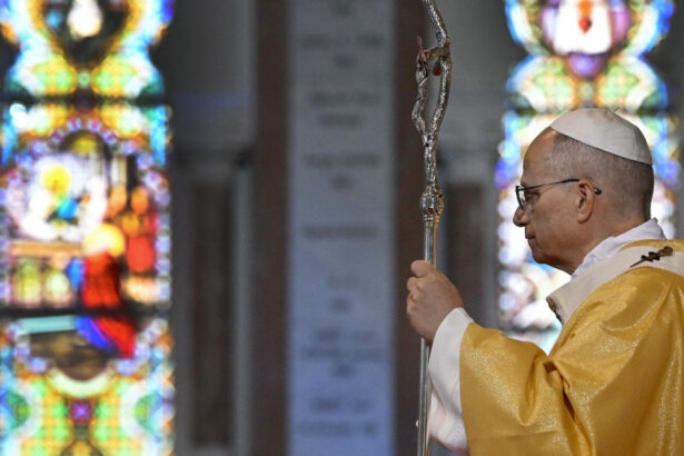 dupa ce i a spus sa se limiteze la probleme morale jd vance ii cere papei leon sa fie atent cand vorbeste despre teologie 69df5c3fe9139