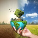 efectele schimbarilor climatice persista chiar si la stra stranepoti arata un nou studiu 69d7c80397356