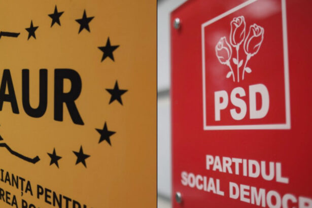 exclusiv cine sunt auristii din psd gheorghe piperea o aripa care nu a vrut userizarea manda olguta cam pe aceeasi linie 69f1ea166336a
