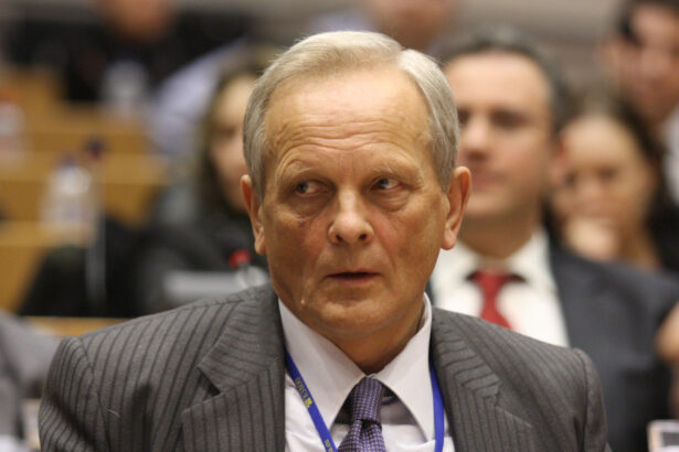 exclusiv theodor stolojan o tara care isi da cu stangul in dreptul costul nu va fi platit de domnii cu cutii de pantofi pline de euro 69e77e03d5dff