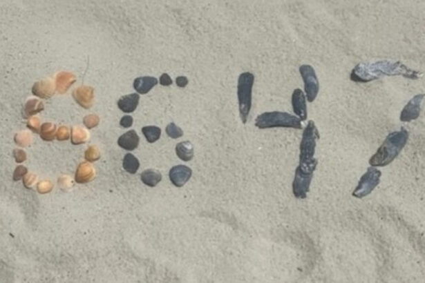 fostul director al fbi james comey tinta lui donald trump pus din nou sub acuzare acum din cauza unei fotografii cu scoici 69f124dd1f61a