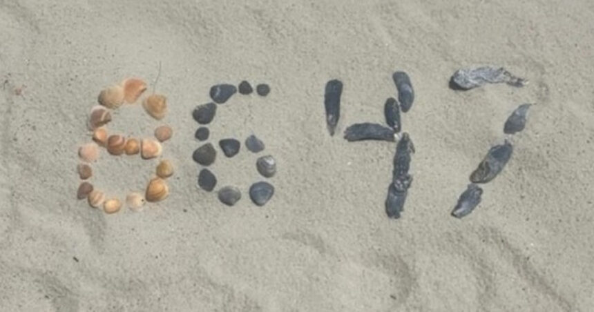 fostul director al fbi james comey tinta lui donald trump pus din nou sub acuzare acum din cauza unei fotografii cu scoici 69f124dd1f61a