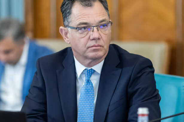 fostul secretar general al guvernului guvernanta si listarea inseamna transparenta dar oana gheorghiu a folosit o procedura opaca 69eb5e01d8262