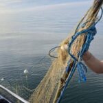 foto politistii de frontiera au salvat cinci sturioni prinsi in plase ilegale in marea neagra 69df5f4bbd778