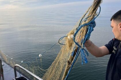 foto politistii de frontiera au salvat cinci sturioni prinsi in plase ilegale in marea neagra 69df5f4bbd778