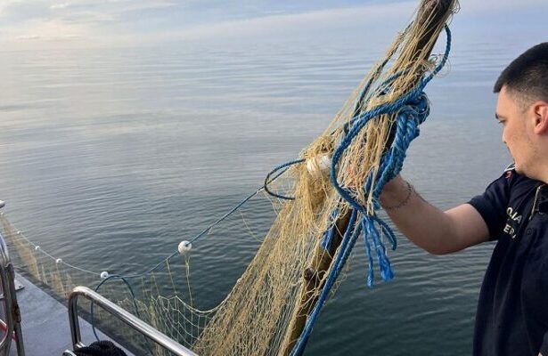 foto politistii de frontiera au salvat cinci sturioni prinsi in plase ilegale in marea neagra 69df5f4bbd778