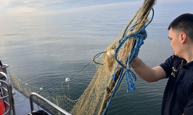 foto politistii de frontiera au salvat cinci sturioni prinsi in plase ilegale in marea neagra 69df5f4bbd778