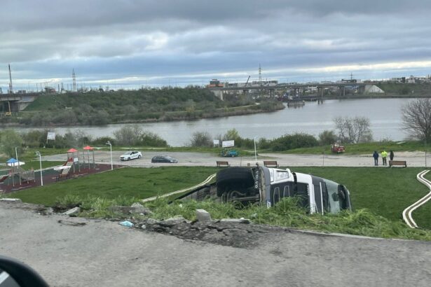 foto un camion cu oi s a rasturnat in zona penny din navodari 160 de animale au murit 69e71dcaba435