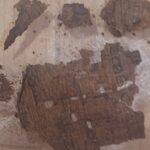 fragment din iliada lui homer gasit in interiorul unei mumii din epoca romana 69f0d4b8986cb