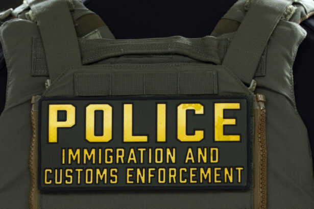 franta cere eliberarea femeii de 86 de ani vaduva unui veteran american retinuta de ice in statele unite 69e0950a79e39