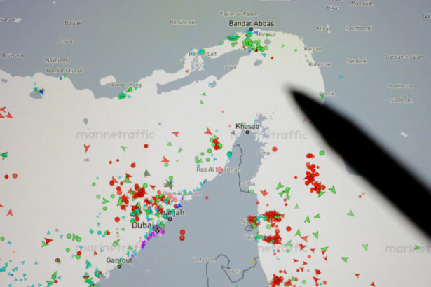 franta si germania divizate in privinta unui eventual rol al sua in planurile europene pentru securizarea stramtorii ormuz 69e144cc048a3