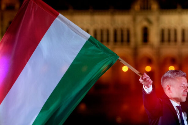 galerie foto cine este peter magyar viitorul prim ministru al ungariei 69dc6bcb2df3e