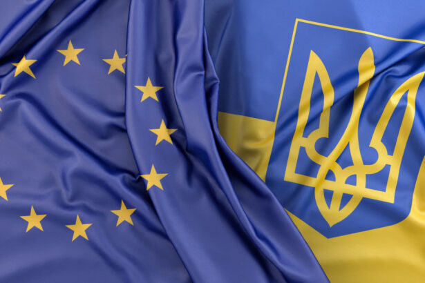 germania si franta iau in considerare o aderare simbolica a ucrainei la ue zelenski nu ar fi de acord ce argument aduce in discutie 69e714230b3ed