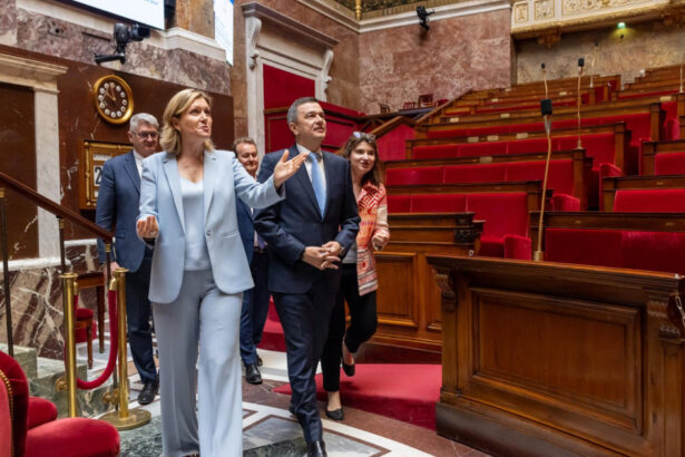 grindeanu dupa intalnirea cu presedinta adunarii nationale a frantei imi doresc sa continuam pe calea pro europeana 69f1e57e096f8