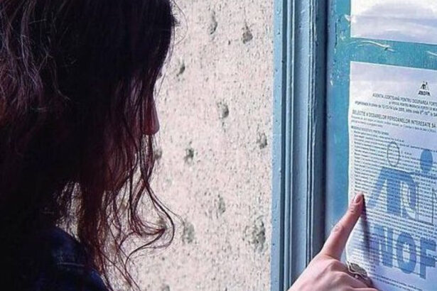 guvernul a aprobat modernizarea anofm servicii digitale si echipe mobile pentru integrarea pe piata muncii 69e0cd7e5b6b8