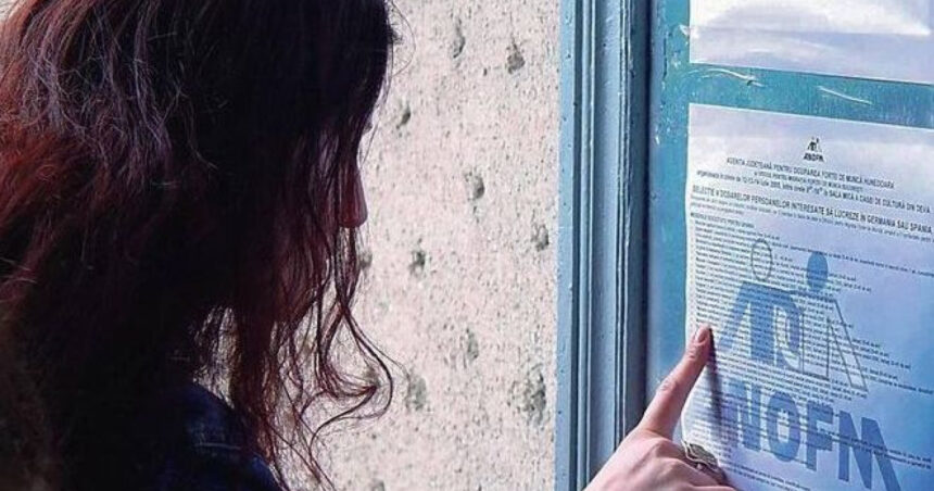 guvernul a aprobat modernizarea anofm servicii digitale si echipe mobile pentru integrarea pe piata muncii 69e0cd7e5b6b8