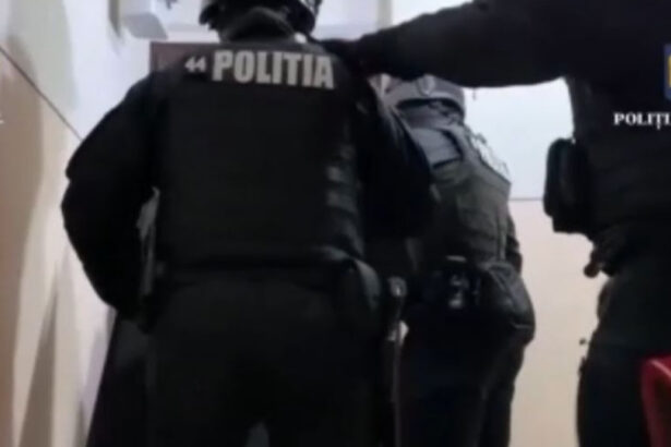 haine detergenti sau licente software procurorii din toata tara au intrat peste persoane care vand produse contrafacute 69ef3ffa130e0