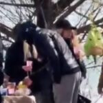 imagini dezolante de paste la malul marii matichescu psd in loc sa sprijine litoralul ministra buzoianu il blocheaza si il amendeaza a distrus orice forma de organizare 69dcc6233cc48