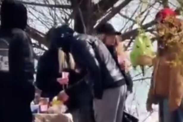 imagini dezolante de paste la malul marii matichescu psd in loc sa sprijine litoralul ministra buzoianu il blocheaza si il amendeaza a distrus orice forma de organizare 69dcc6233cc48