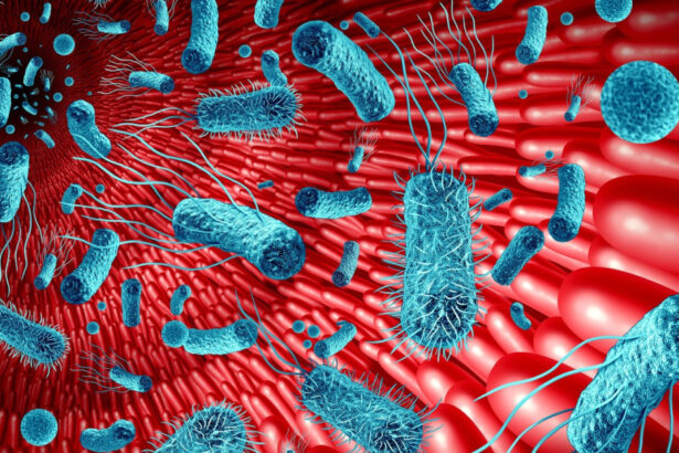intestinul al doilea creier cum influenteaza microbiomul sanatatea si memoria studiu 69dd5b0a3ef3a