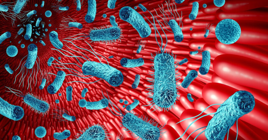 intestinul al doilea creier cum influenteaza microbiomul sanatatea si memoria studiu 69dd5b0a3ef3a
