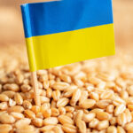 israelul a refuzat sa primeasca cerealele transportate de rusia din teritoriile ocupate dupa protestul kievului 69f396a42e4b1