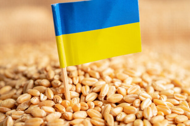 israelul a refuzat sa primeasca cerealele transportate de rusia din teritoriile ocupate dupa protestul kievului 69f396a42e4b1