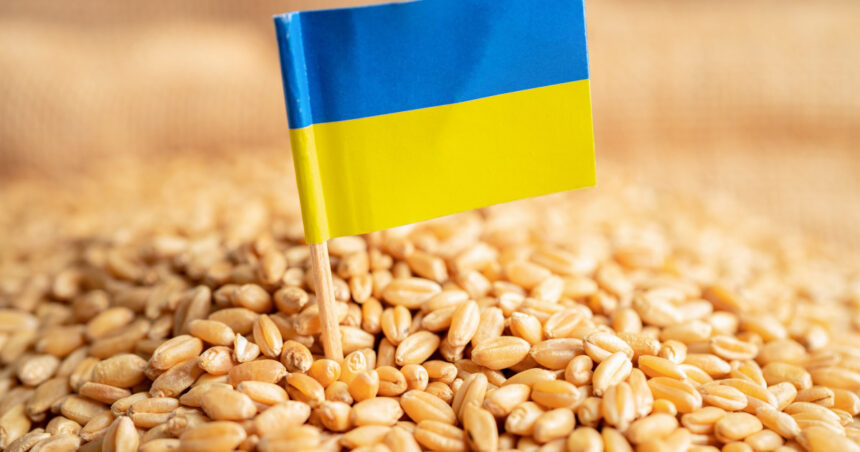 israelul a refuzat sa primeasca cerealele transportate de rusia din teritoriile ocupate dupa protestul kievului 69f396a42e4b1