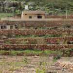 israelul va crea 34 de noi colonii in cisiordania ocupata conform unei decizii luate in secret la inceputul lui aprilie 69d90af546004