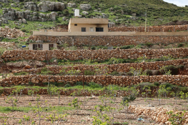 israelul va crea 34 de noi colonii in cisiordania ocupata conform unei decizii luate in secret la inceputul lui aprilie 69d90af546004