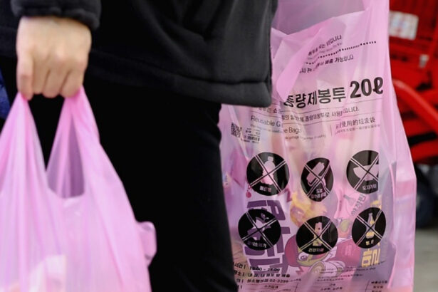 limita la sacii de gunoi in magazinele din coreea de nord mesajul guvernului pentru cei speriati ca trebuie sa si tina gunoiul in casa 69d25b4e4deba