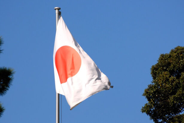 mae a emis o atentionare de calatorie pentru romanii care merg in japonia 69e6366fd6cc8