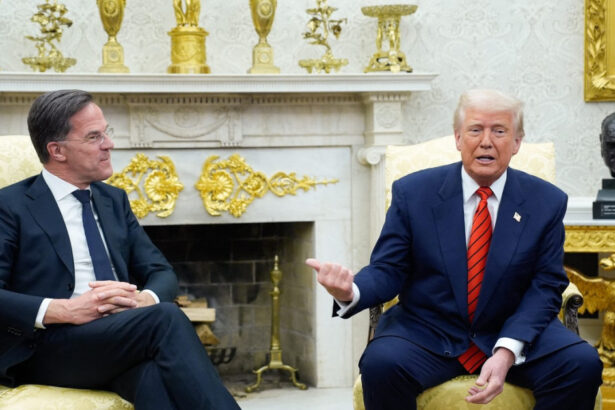 mark rutte vizita in sua intre 8 si 12 aprilie seful nato se intalneste miercuri cu donald trump 69cff3ecc626f