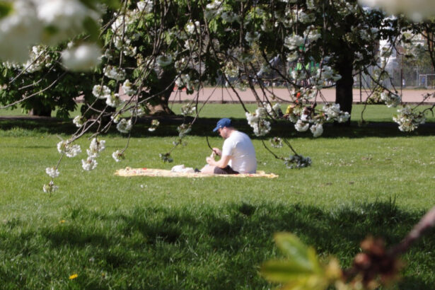 meteorologii anunta cum va fi vremea in minivacanta de 1 mai estimari pentru urmatoarele patru saptamani 69e1d8d2acb51