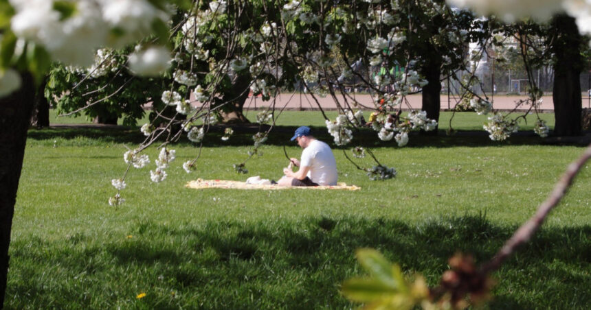 meteorologii anunta cum va fi vremea in minivacanta de 1 mai estimari pentru urmatoarele patru saptamani 69e1d8d2acb51