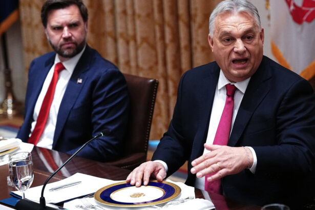 modelul global al miscarii maga se confrunta cu o incercare decisiva in ungaria misiunea lui jd vance la budapesta 69d4bb81d306b