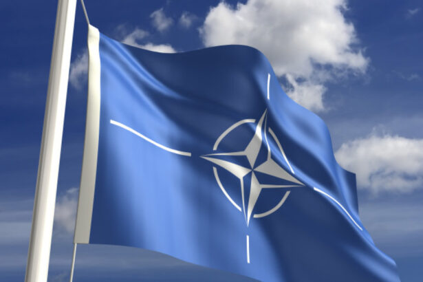 nato european germania se alatura unui program radical de transformare a aliantei ce inseamna acest lucru 69df5fabe3514