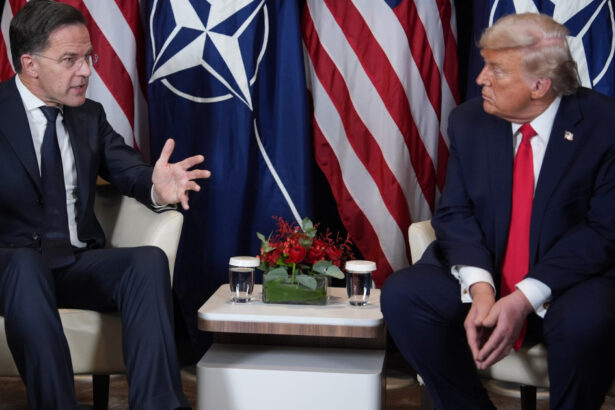 nato ia in considerare renuntarea la summiturile anuale pe fondul tensiunilor cu donald trump este mai bine 69f0db0cf3cb8